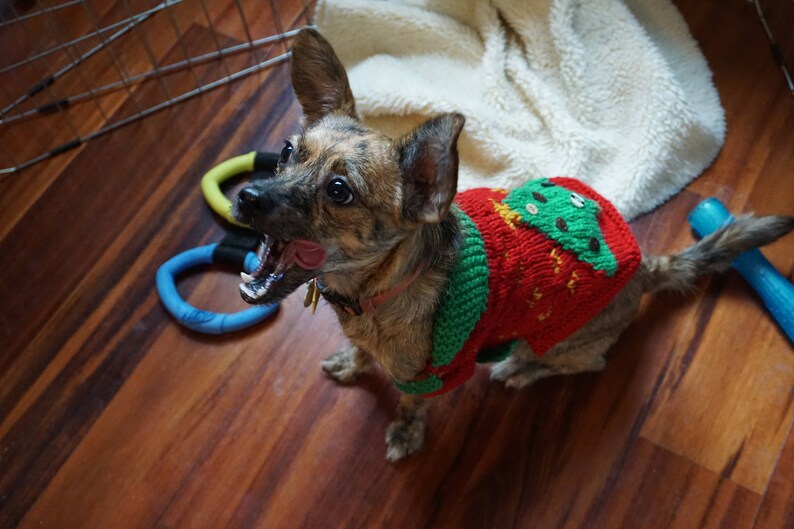 Tacky Christmas Dog Sweater Etsy