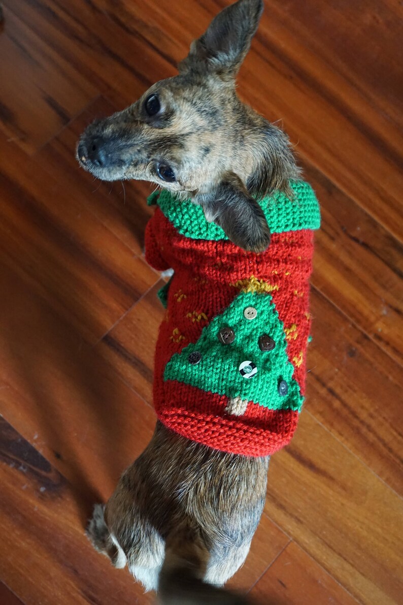 Tacky Christmas Dog Sweater Etsy