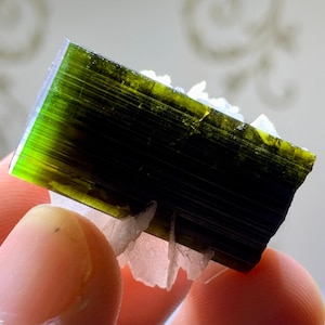 May include: A vibrant green tourmaline crystal with a dark, almost black, center. The gemstone is rectangular with visible striations and rests on a bed of white, crystalline material. The crystal's edges show a bright, translucent green.