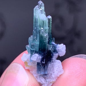 May include: A raw mineral specimen featuring elongated, translucent tourmaline crystals in shades of deep blue and green. The vertical, prismatic crystals are clustered together and emerge from a base of small, pale, textured mineral formations.