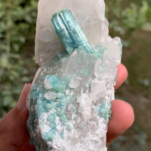 Puede incluir: Una formación de cristal en bruto con una gran punta de cuarzo transparente y un vibrante cristal de turmalina de color verde azulado incrustado. La base es una mezcla de cuarzo blanco y turmalina verde azulado.