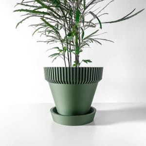 May include: A green plant in a green plant pot with a matching saucer. The pot features a distinctive design with vertical lines at the top. The plant has long, thin, green leaves and stems. The pot sits on a white surface.
