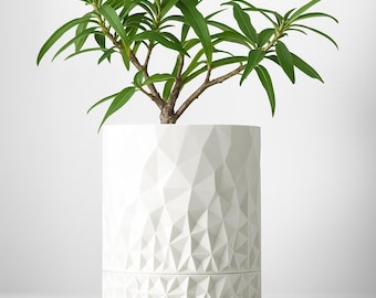 VORONOI WALL PLANTER - 3D Printed Modern Pot