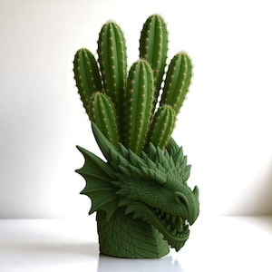Op de afbeelding: Een groene, draakvormige plantenpot met groene cactussen. De pot heeft een gedetailleerde drakenkop en schubben. De cactussen hebben meerdere verticale stengels met kleine stekels.