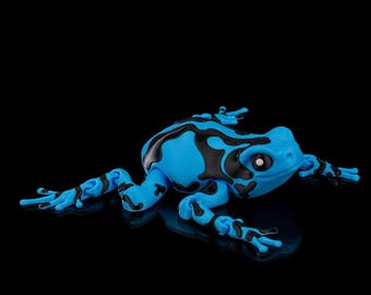 Darcy Poison Dart Frog – Large Frog Toy