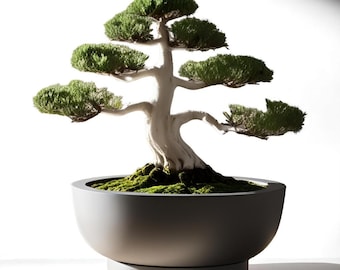Minimalist Bonsai Planter: 3D-Printed Zen Decor with Drainage Tray