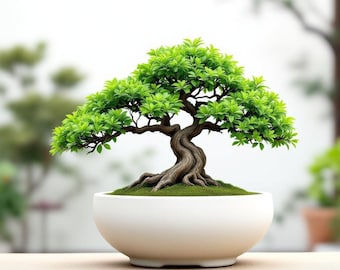 Minimalist Bonsai Pot – Modern 3D Printed Planter for Small Indoor Trees