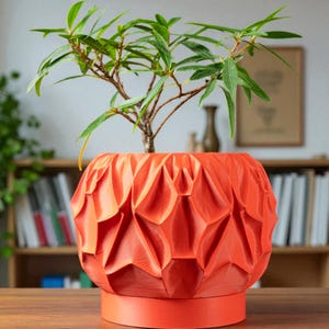 May include: A vibrant orange, geometric-patterned planter pot holding a small green plant. The pot has a unique, textured design and sits on a matching base. The plant has long, slender green leaves and brown stems. The pot is approximately 8 inches in diameter.