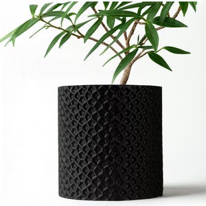 Könnte beinhalten: Ein schwarzer, zylindrischer Blumentopf mit geometrischem Muster enthält eine kleine Pflanze mit grünen Blättern und einem braunen Stiel. Der Topf hat eine strukturierte Oberfläche und steht vor einem weißen Hintergrund. Die Pflanze ist eine Zimmerpflanze.