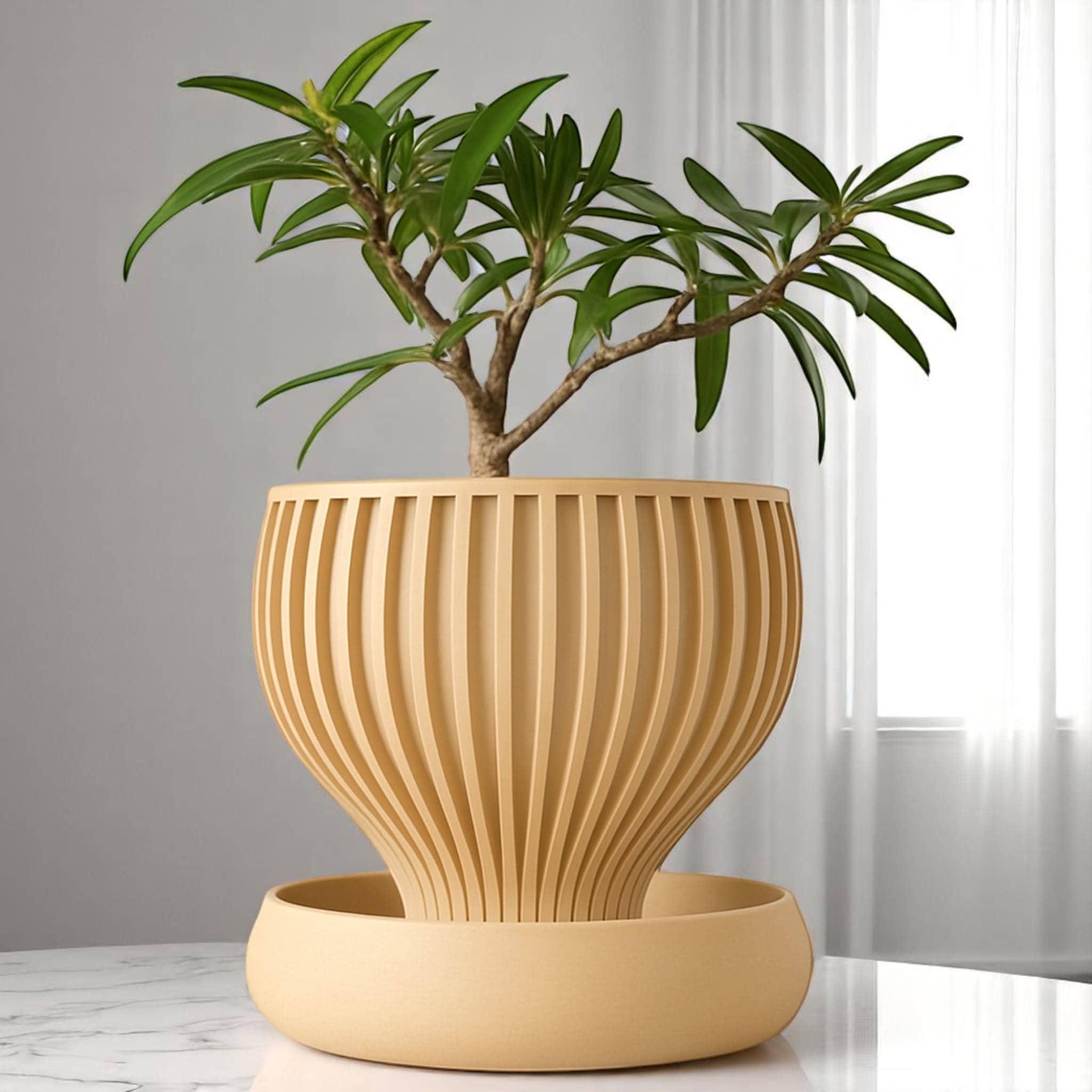 Self-Watering Planter Pot  Modern 3D Printed Indoor Flower Pot with Drain Tray for Orchids Pilea Aloe Vera  Snake Plants