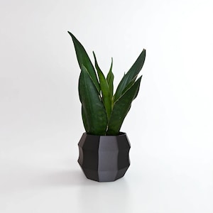 Puede incluir: Una planta de serpiente con hojas largas y verdes oscuras en una maceta geométrica negra. La maceta tiene un diseño facetado, agregando un toque moderno. El fondo es blanco liso, resaltando la planta.