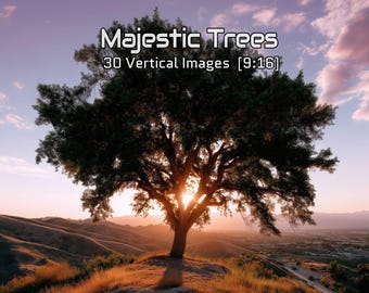 Vertical Tree Aesthetic – Majestic Forest Landscape Images – Nature Backgrounds for Stories, Posters, Reels & Creative Projects – 9:16
