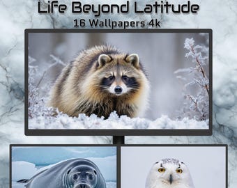 Life Beyond Latitude – Arctic Wildlife 4K Wallpapers | Polar Animals, Ice Landscapes, Minimal Cold Aesthetic Pack