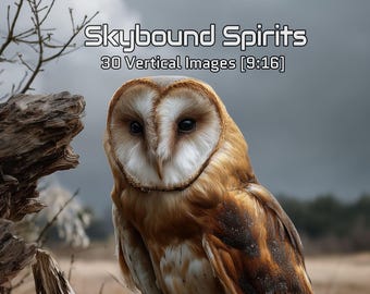 Vertical Bird Images | 1440x2560 Digital Art Pack | Majestic Owls, Hawks, Eagles | Digital Backgrounds for Phone & Social Media