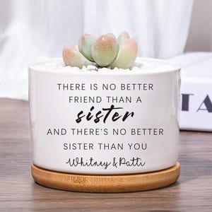 Best friend flower pot sister succulent gift | birthday gift for sister custom text pot | Custom Plant Pot Succulent Gift gift for sister