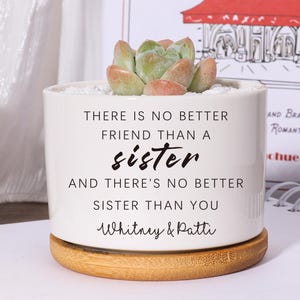 Sister Gift There&#39;s No Better Friend Than a Sister|Sister Birthday Gift Personalized Planter|Custom Plant Pot Succulent Gift gift for sister