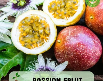 Passion Fruit Seeds 50 pcs, Purple Skinned Variety for Home Garden and Greenhouse