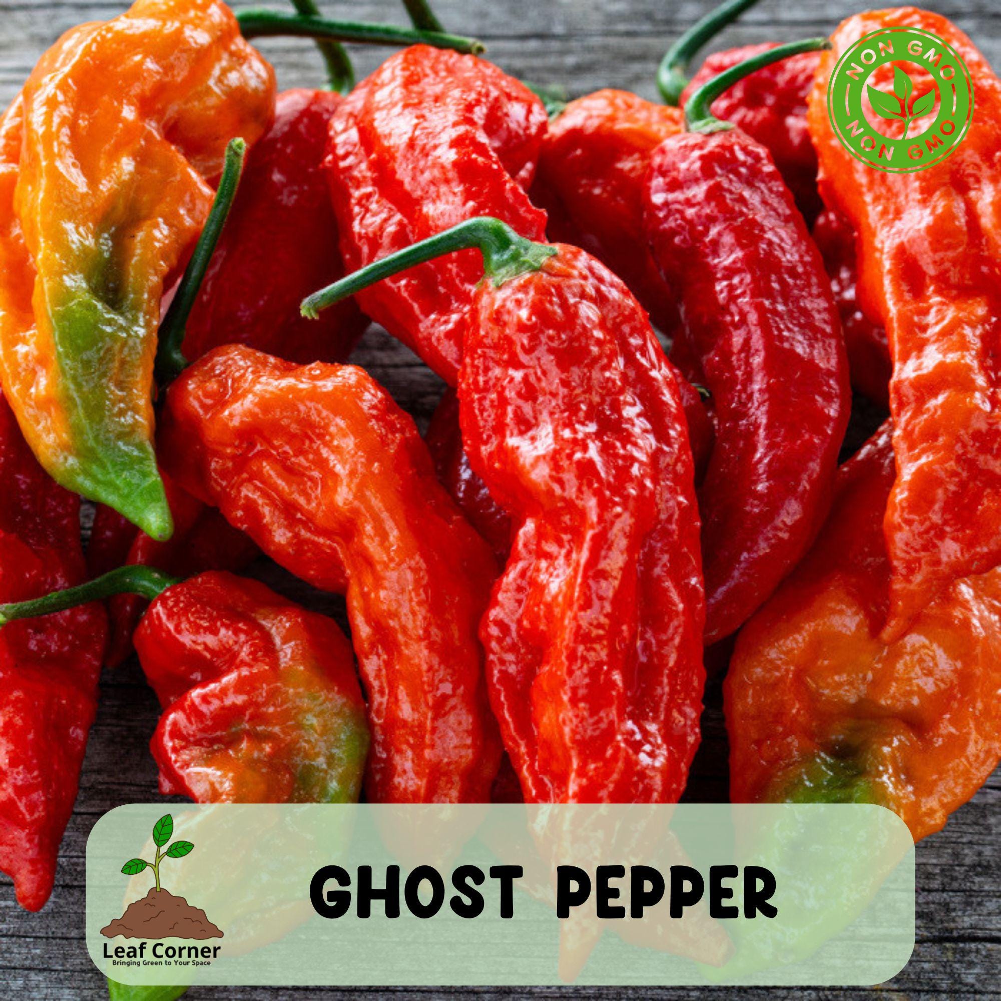 50 Ghost Pepper Seeds, Non GMO, Heirloom Chili, Super Hot Bhut Jolokia ...