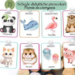 Carte Educative a Tema Animali – Flashcards per Bambini 3-6 Anni da Stampare