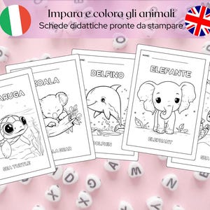 Feuilles à colorier | activités imprimables pour la maternelle en PDF | dessins avec des animaux | Activités Montessori pdf