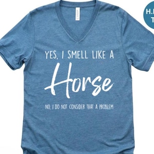 Adult Humor Shirt for Women, Funny Cowgirl Tee, Country Western Shirt, Unisex Comfort Colors T-Shirt, Humorous Western Top for Men & Women