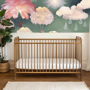 Balloon Bliss Bedroom Mural
