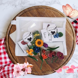 Kit Montessori Fleurs – Figurines + cartes classifiées – Activité nature dès 18 mois