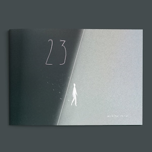 Signed Copy: '23'  A Graphic Novel - Illustrated Artist Book - Wordless Story