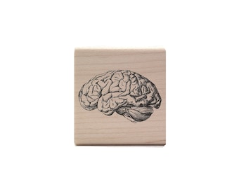 Vintage Brain Rubber Stamp - Biology & Anatomy Stamp - Medical / Neurology STEM Stationery