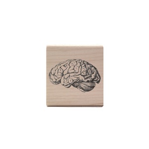 Vintage Brain Rubber Stamp Biology & Anatomy Stamp Medical / Neurology STEM Stationery image 1