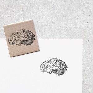 Vintage Brain Rubber Stamp Biology & Anatomy Stamp Medical / Neurology STEM Stationery image 2