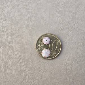 May include: Two small, round, pale pink beads with a radial, star-like pattern and a central hole, positioned on top of a 10 euro cent coin for scale. The beads have a textured, ribbed surface and a light, delicate appearance.