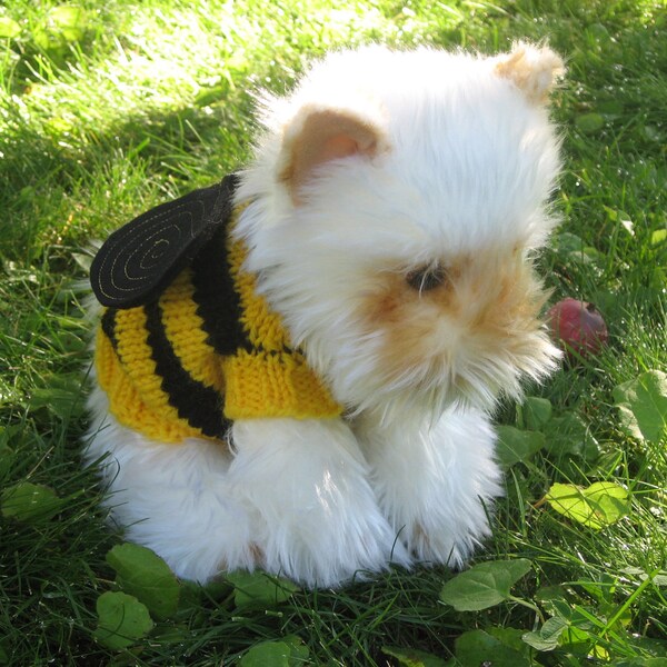 A Honey Bee Dog Sweater with Wings