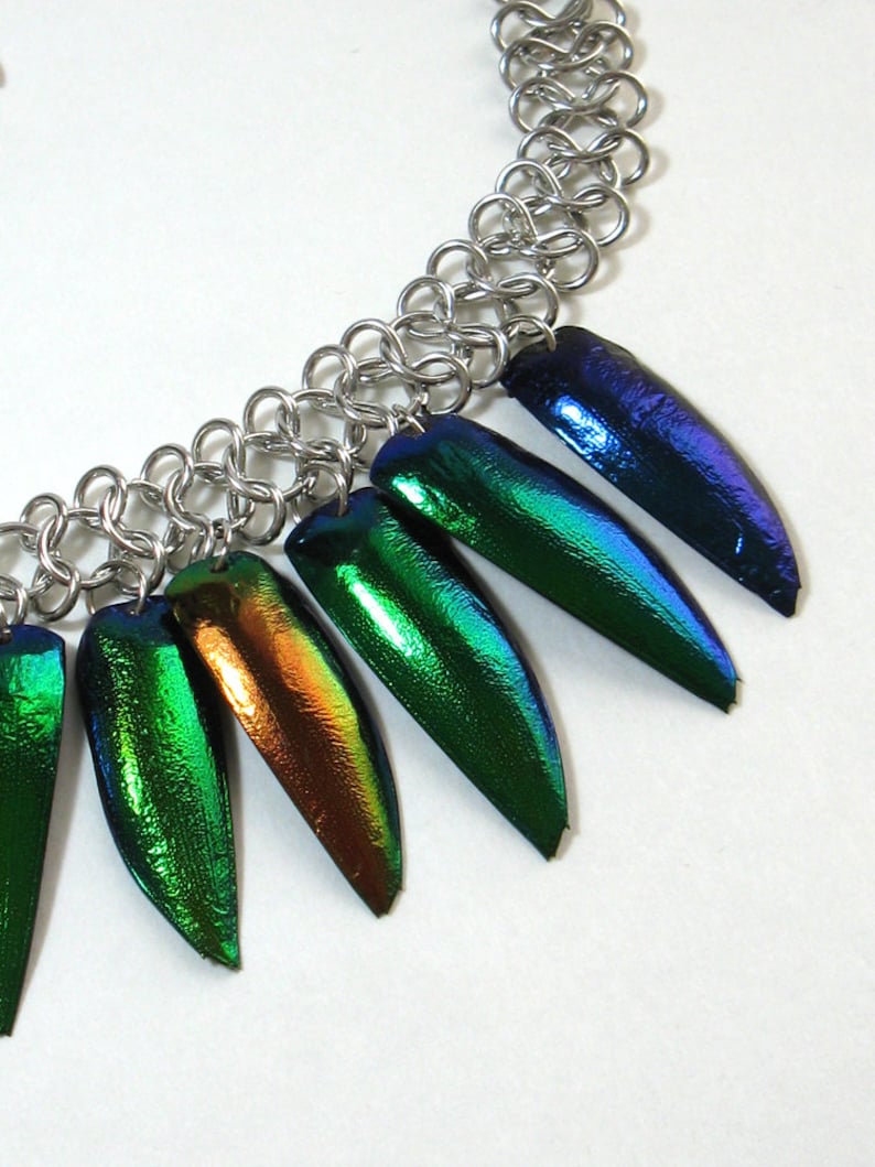 remade from vintage OOAK real elytra jewel beetle wing cases choker