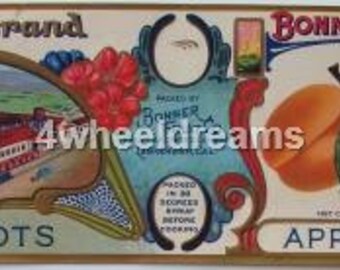 1920s Robins Birds Red Breast W C Robbins Bartlett Pears Crate Label Scarce