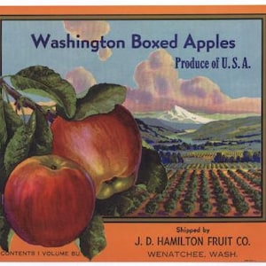 May include: Vintage label for Washington Boxed Apples, featuring a red apple with green leaves and a scenic background of an orchard. The label text reads "Washington Boxed Apples, Produce of U.S.A., Shipped by J.D. Hamilton Fruit Co., Wenatchee, Wash."
