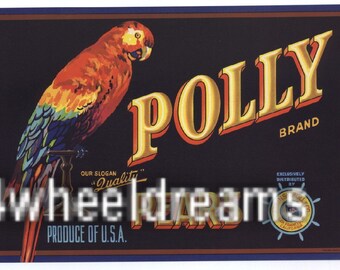 1930s Polly Parrot Pear Crate Label: Tropical Bird Art