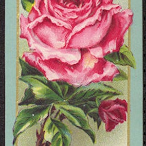 1910s Rose Toilet Water Barber Bottle Label Barbershop Toiletries Phil Eisemann Lancaster PA