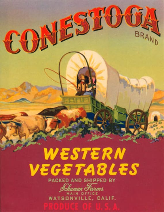 HOT BRAND Vegetable Horizontal Label Cowboys Branding Cattle Guadalupe CA