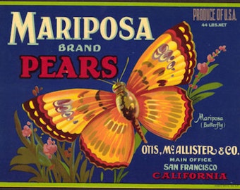 1930s Mariposa Pear Pears Crate Label Butterfly San Francisco CA