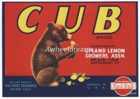 1940s Baby Bear Cub Lemons Red Ball Citrus Crate Label - Etsy