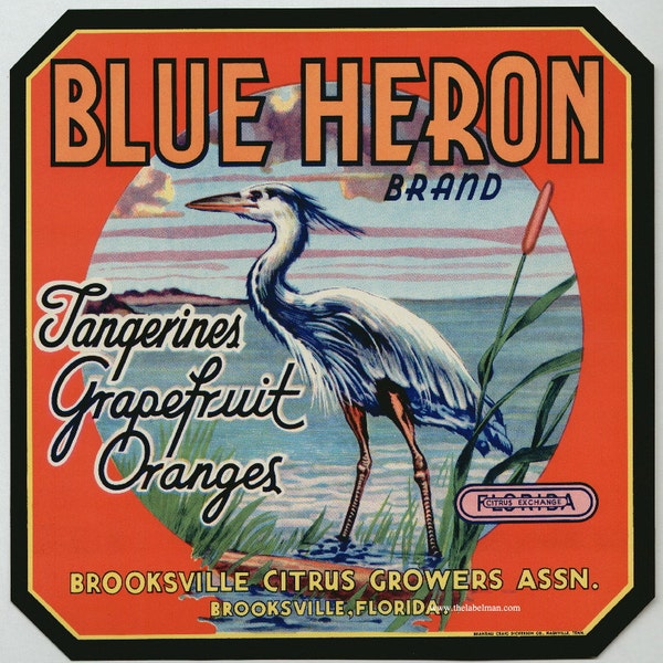 1940s Vintage Blue Heron Water Fowl Brooksville Florida Citrus Label FLA