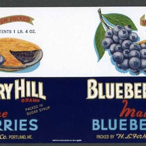 1920s Blueberry Hill Portland Maine Blueberries Can Label