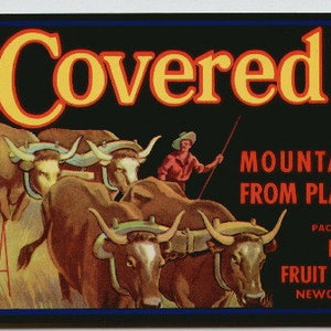 May include: A vintage label for "Covered Wagon" brand mountain fruits from Placer County, California. The label features a black background with a yellow wagon and a blue anchor logo. The text "Covered Wagon Brand" is in large, bold letters. The label also includes the text "Mountain Fruits from Placer County" and "Packed and Shipped by Newcastle Fruit Growers Assn. Newcastle, California."