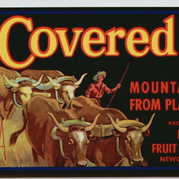 1950s Covered Wagon Oxen Scout Western Placer County California Original Crate Label