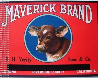 1920s Calf Baby Cow Farm Animal Corona CA Original Crate Label