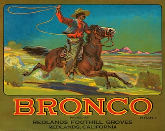 1940s Cowboy Bronco Riding the Range Galloping Horse Ad Label