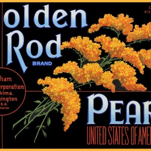 1940s 50s Vintage Pears Fruit Crate Label Lot Kitchen Art Decor Original