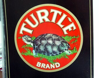 1940s Very Scarce Turtle Turtles Robstown Texas TX Crate Label