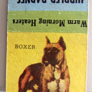 1940s  Boxer Dog Photo Breed Vintage Matchcover